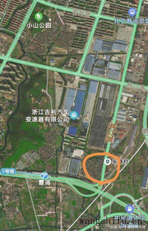 粉紫重瓣木槿（重瓣木槿品种）