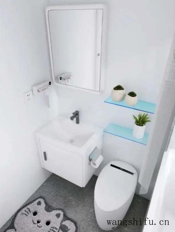 蜀葵（蜀葵花图片）