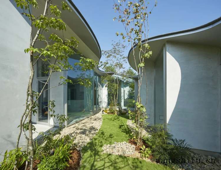 熏香精油（熏香精油对人体有害吗）