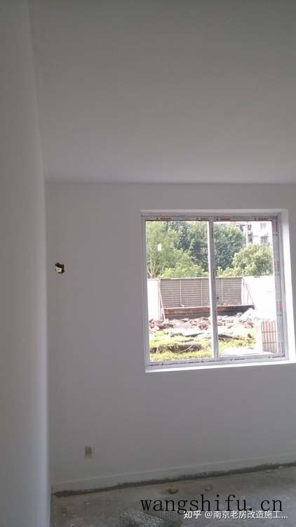 大球盖菇（大球盖菇怎么做好吃）