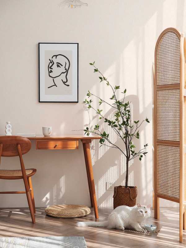 水性涂料配方以及介绍