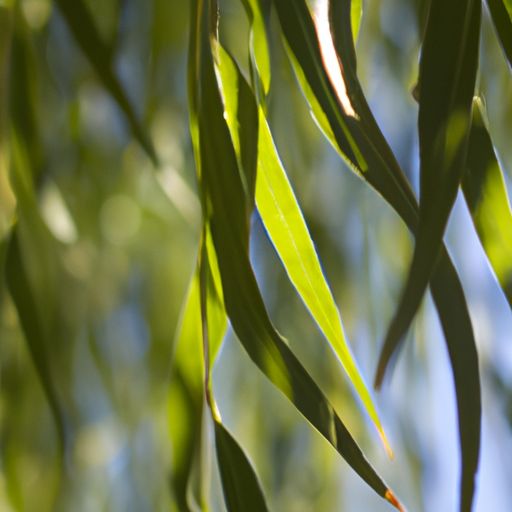 如何刷乳胶漆 刷乳胶漆注意事项