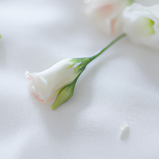 洋桔梗哪个颜色