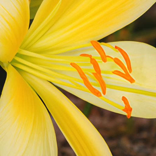 高压开关柜（高压开关柜厂家排名）