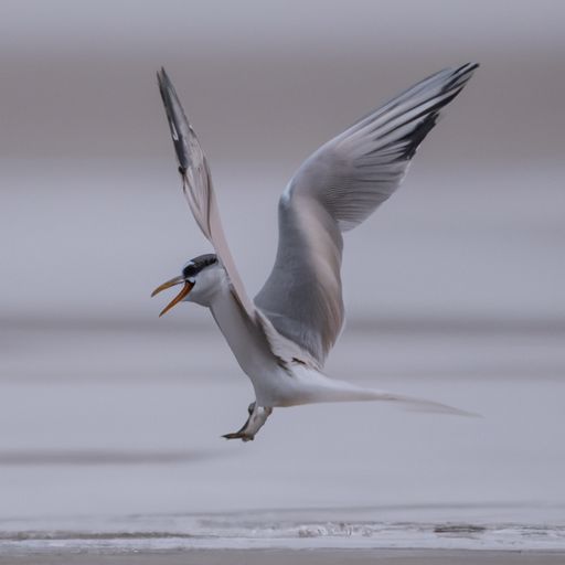 浴霸有辐射吗 浴霸有辐射吗