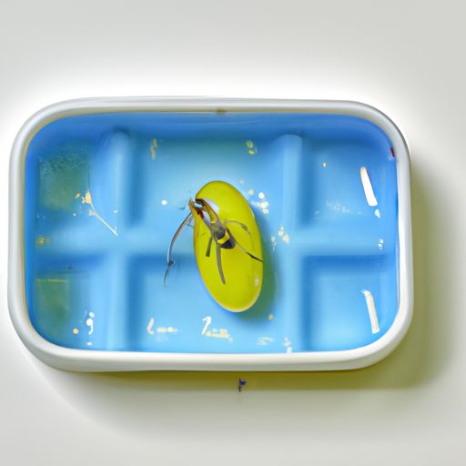 驱蚊贴和驱蚊扣哪个好用 驱蚊贴和驱蚊扣哪个好用