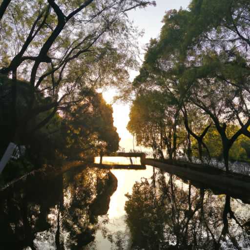 日照和无锡哪个地方好