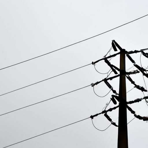 真丝和桑蚕丝哪个贵？详细比较真丝和桑蚕丝的价格和特点