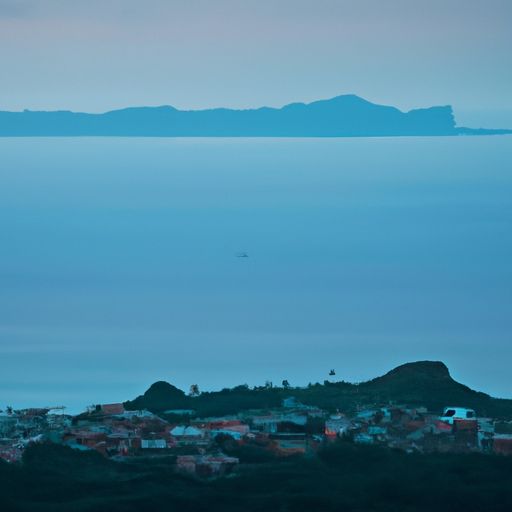 半枝莲（半枝莲的作用与功效）