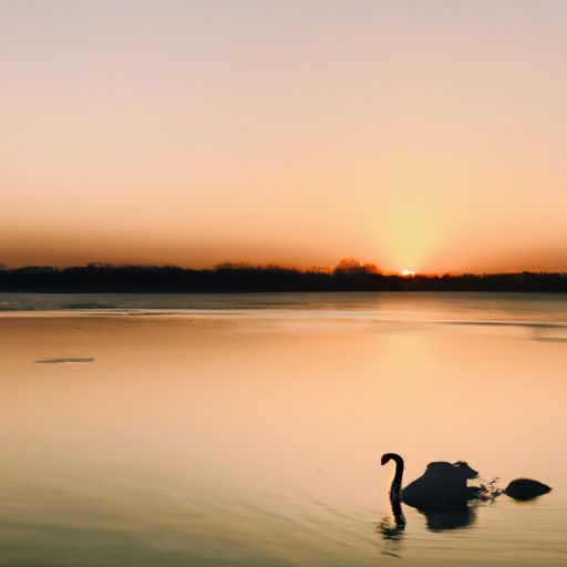 小天鹅和海尔松下哪个好