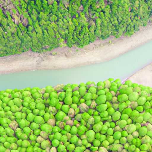 环氧树脂地坪漆