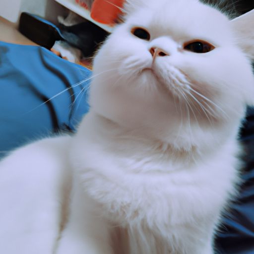 床头朝东是哪个方向