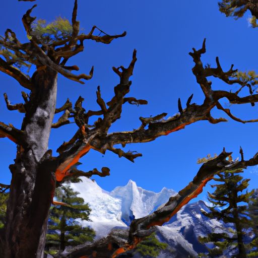 大金松下格力哪个好