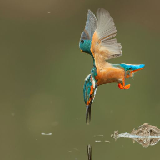 浴霸 辐射 浴霸 辐射