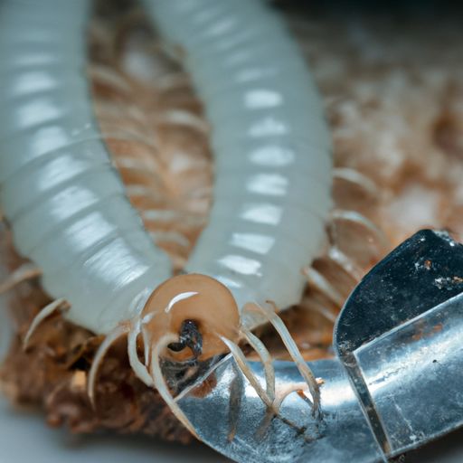 甲醛怎么检测 甲醛怎么检测