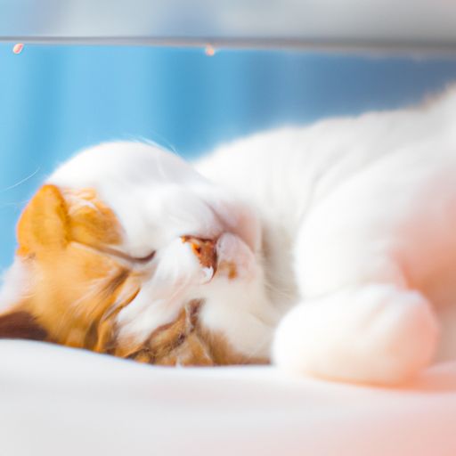 空调哪个模式适合睡觉