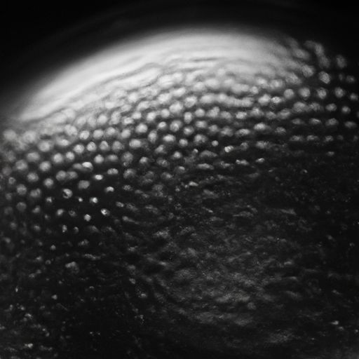 墙面刷漆详细步骤与注意事项