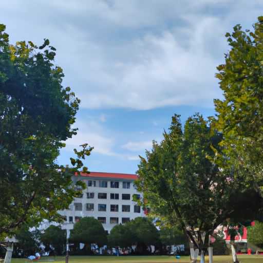 美大科大哪个集成灶好