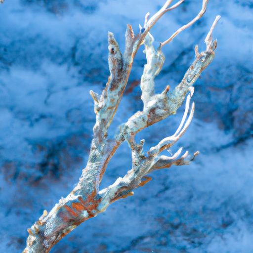 墙壁发霉怎么处理