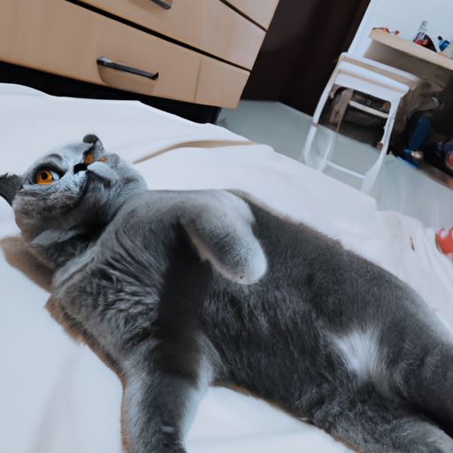 哪个移动空调好