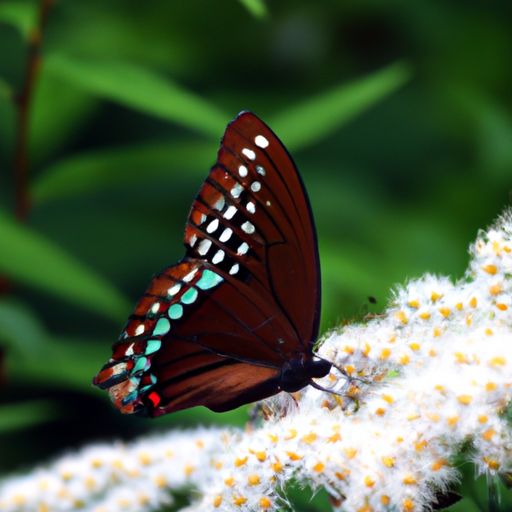 婀娜多姿十字绣