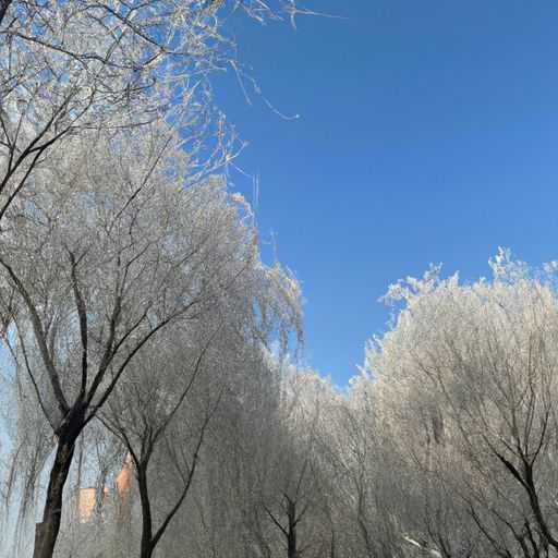 沈阳和吉林哪个冬天冷