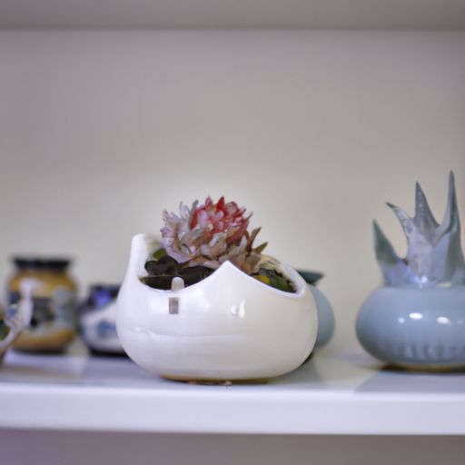 整体衣帽间（整体衣帽间装修效果图片）