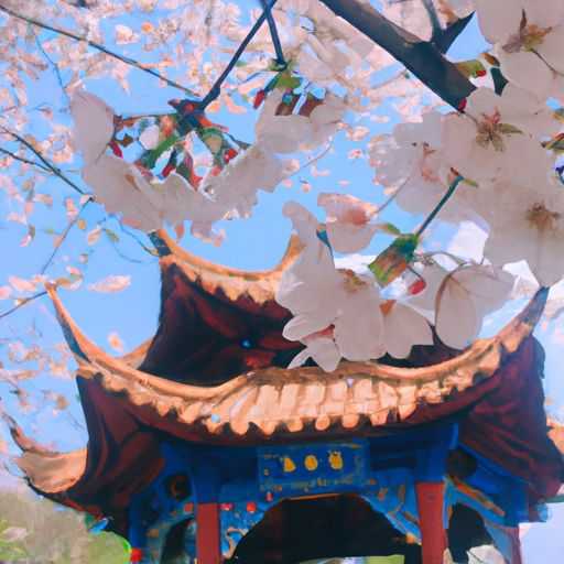 万和与樱花哪个质量好