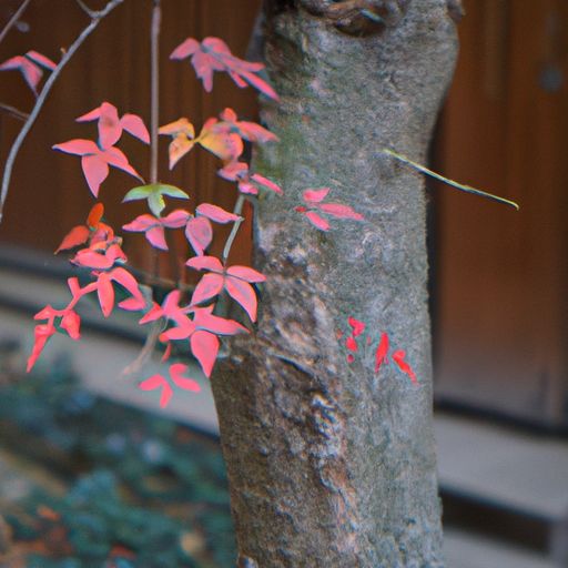 小叶紫檀和乌木哪个好