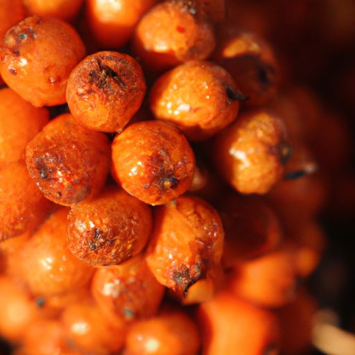 长寿果的营养价值