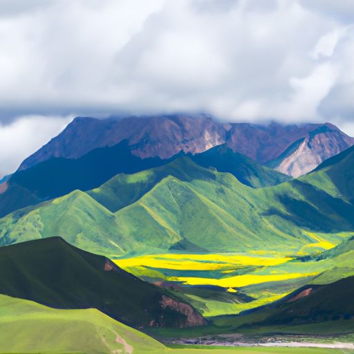 卓诗尼和涉趣哪个好