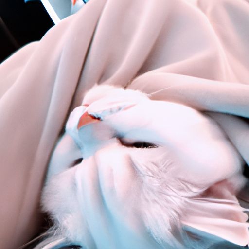 电热毯开着睡对人体有伤害吗