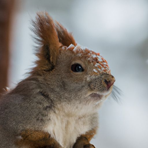 折叠沙发床（折叠沙发床十大名牌排名）