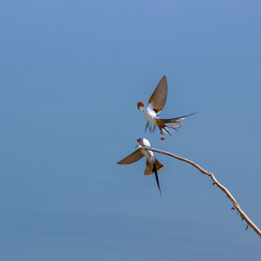 腻子粉墙面如何施工 腻子粉墙面如何施工