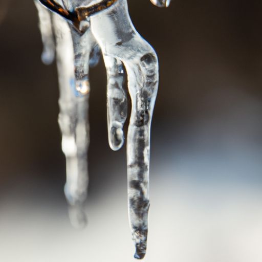 冰藤个冰丝哪个好用