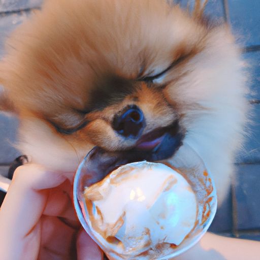 茶杯犬多少钱一只