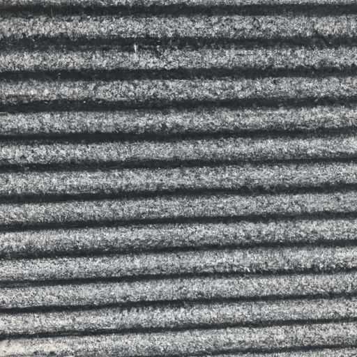 火祭（火祭的养殖方法和注意事项）