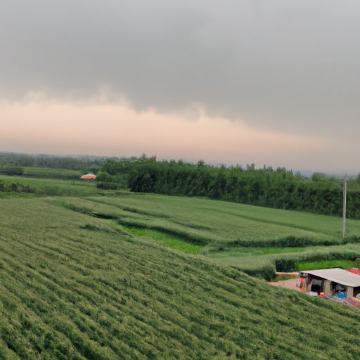 大庆在农安哪个方向