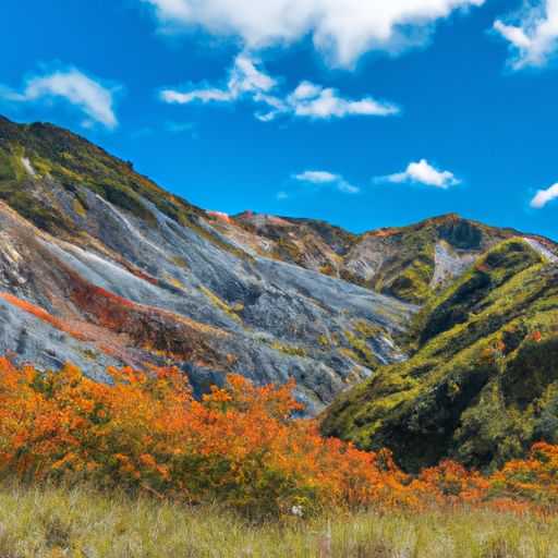 金刚砂耐磨地坪