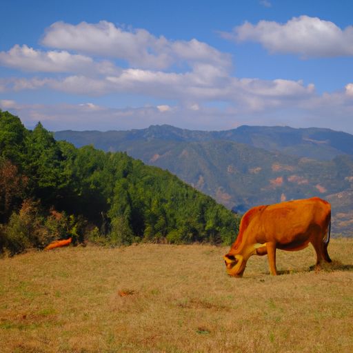 公牛和突破插座哪个好