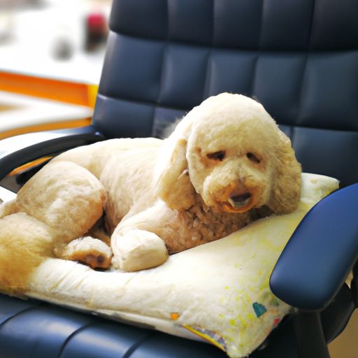 纹肉机哪个牌子好（纹肉机哪个牌子好用）