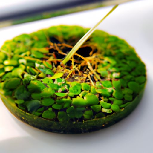 什么是抹灰？什么是粉刷？什么是刷涂料？什么是内外粉？