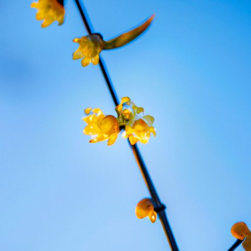 墙面粉刷的四大作用