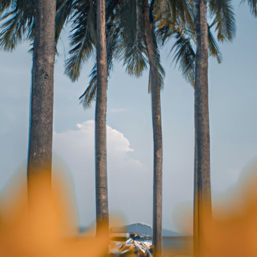 巧色棕色哪个颜色深