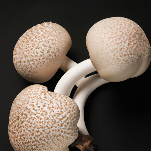 菟丝子的作用和功效详解