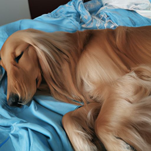 睡草席和床单哪个好 睡草席和床单哪个好