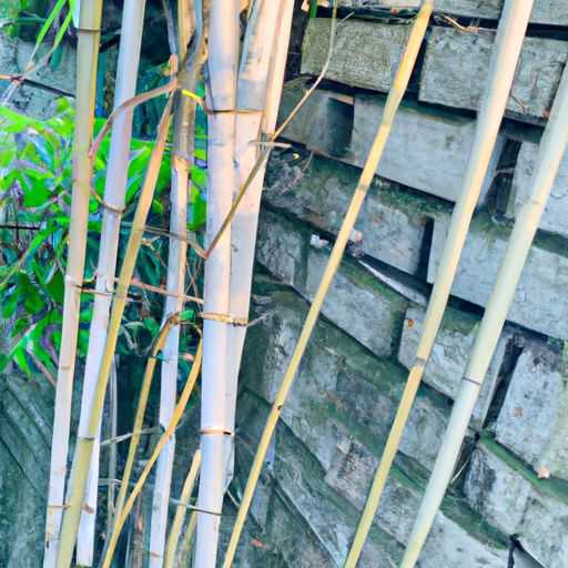 藤席和竹席哪个好清洗