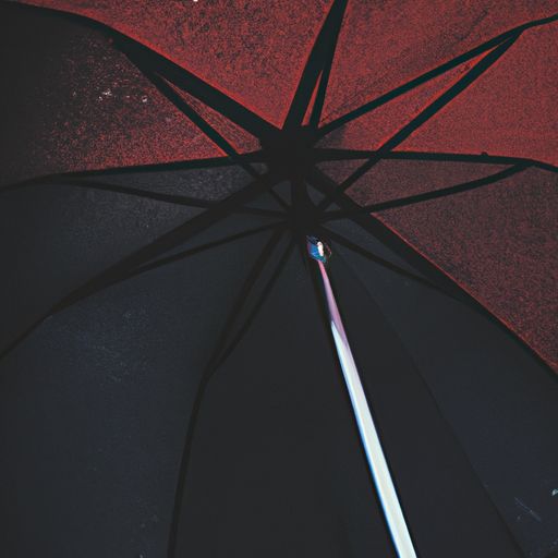 小雨伞是什么意思