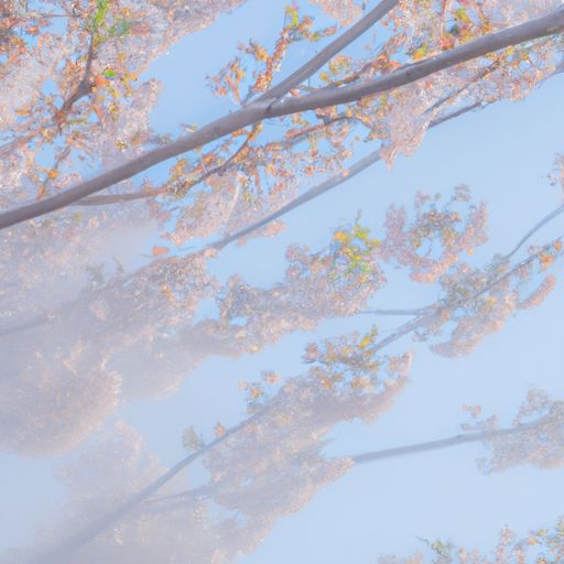 樱花抽油烟机哪个好用