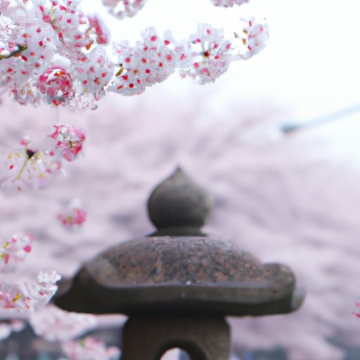 木菠萝和榴莲哪个好吃（木菠萝和榴莲哪个好吃一点）